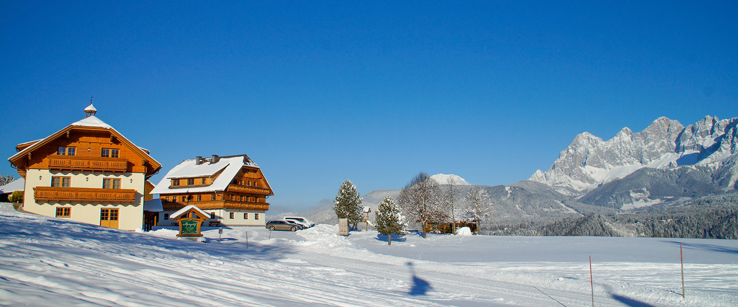 the Alpstegerhof in the middle of nature, directly on the piste