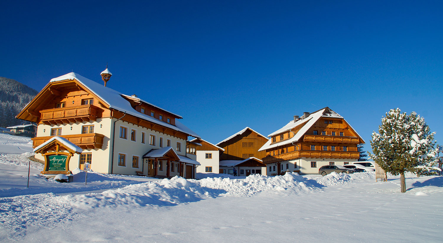 a dream day at the Alpstegerhof and on the slopes of Schladming